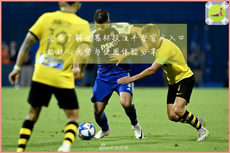 全面了解世界杯投注平台官方入口的核心优势与使用体验分享