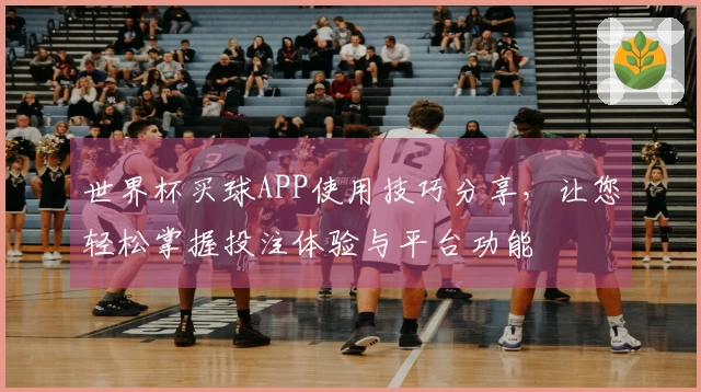 世界杯买球APP使用技巧分享，让您轻松掌握投注体验与平台功能