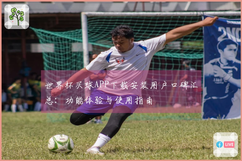 世界杯买球APP下载安装用户口碑汇总：功能体验与使用指南