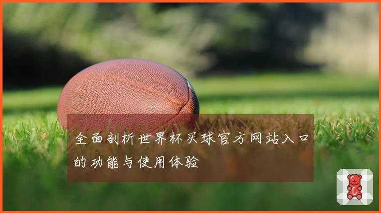 全面剖析世界杯买球官方网站入口的功能与使用体验