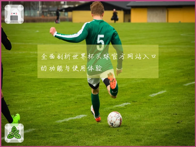 全面剖析世界杯买球官方网站入口的功能与使用体验