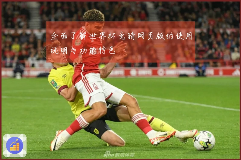 全面了解世界杯竞猜网页版的使用说明与功能特色