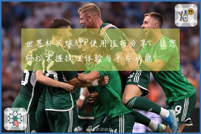 世界杯买球APP使用技巧分享，让您轻松掌握投注体验与平台功能
